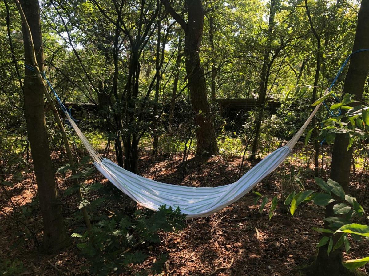 Het Natuurhuisje Op De Veluwe Nunspeet Exterior foto